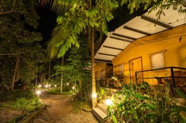 Wildwood Nature Stay